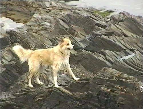 14 Apr 1993 · Cornish Coast: Day 3 Treyarnon Bay to Tintagel